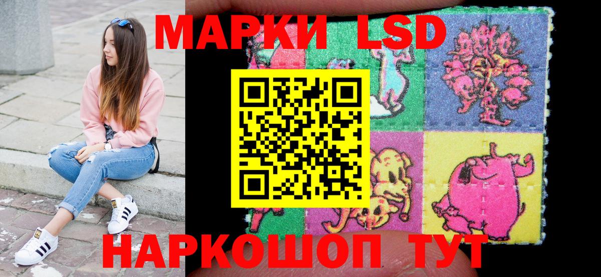 Псилоцибиновые грибы Заводоуковск
