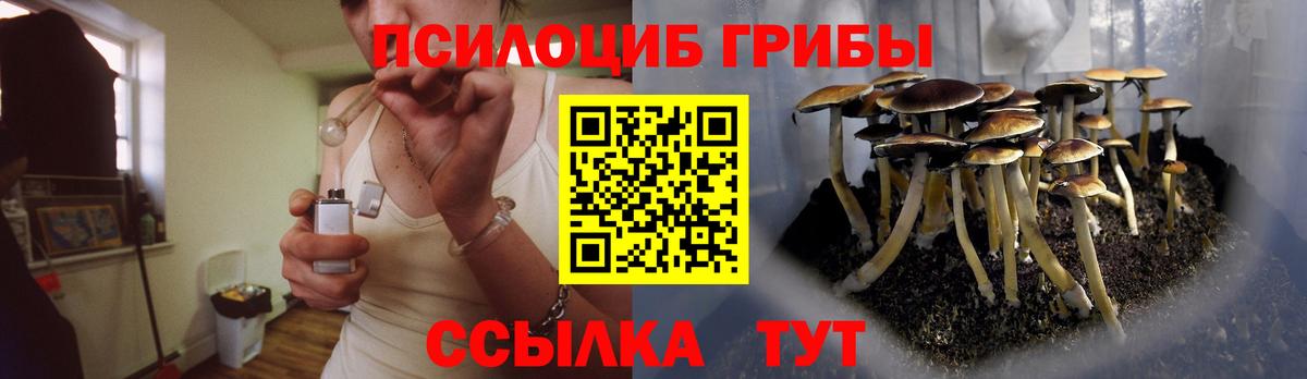 Псилоцибиновые грибы прущие грибы  Вход с VPN  Заводоуковск  Галлюциногенные грибы GOLDEN TEACHER 